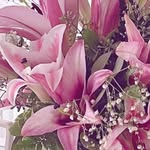 Parth Israni testimonial